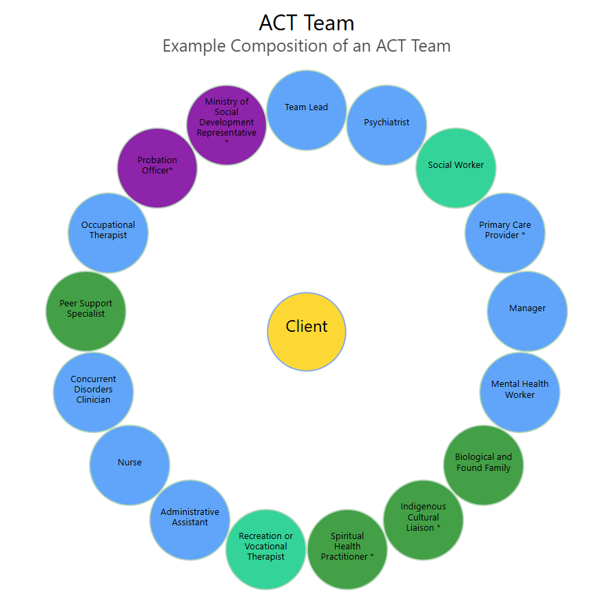 Example Composition of ACT Team.png